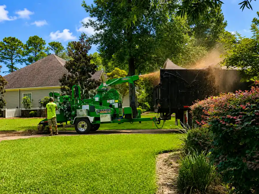 Reputed Tree Service Reputed Tree Service