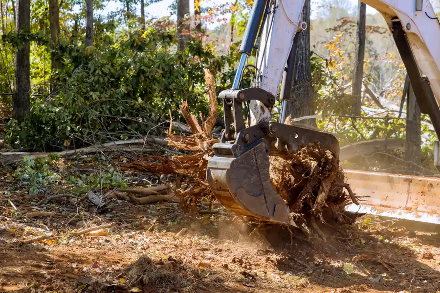 Local Tree Stump Removal Leesburg, GA Local Tree Stump Removal Leesburg, GA