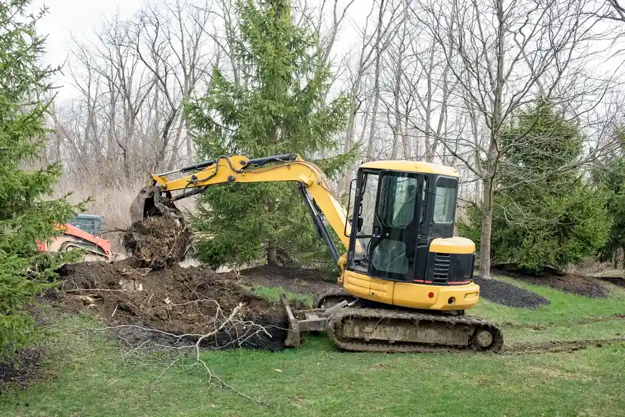 Reliable Tree Stump Removal Leesburg, GA Reliable Tree Stump Removal Leesburg, GA