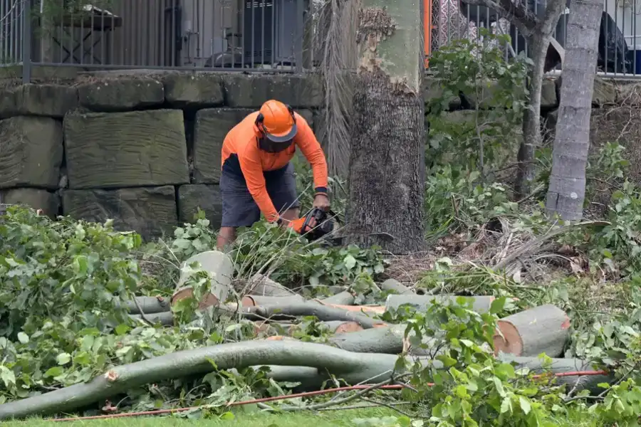 Top-rated Tree Removal Leesburg, GA Top-rated Tree Removal Leesburg, GA
